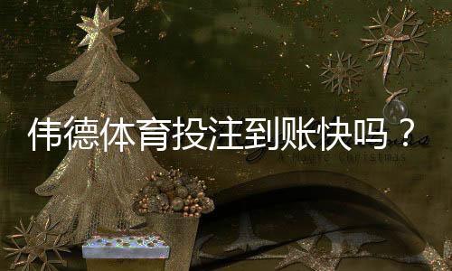 伟德体育投注到账快吗？存提款速度、到账时长与常见问题全面解析