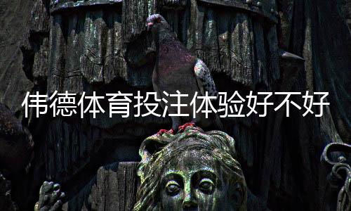 伟德体育投注体验好不好？真实评测与新手必看优缺点全解析