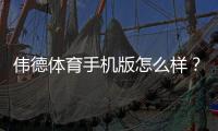 伟德体育手机版怎么样？真实测评：界面体验、赔率优势、充值提现与安全性