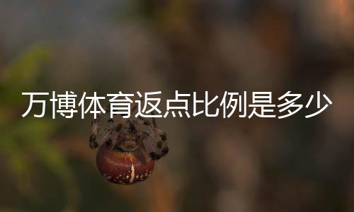 万博体育返点比例是多少？最新返点规则、计算方法与实战攻略