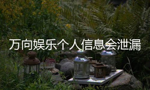 万向娱乐个人信息会泄漏吗？深度解析平台安全性与防护措施