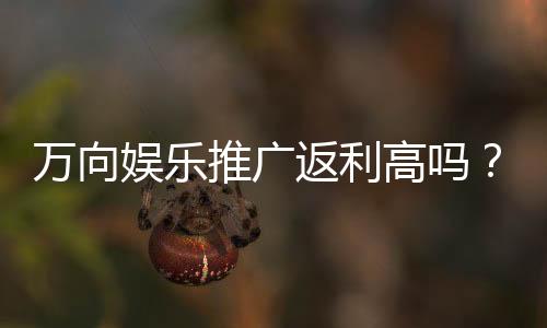 万向娱乐推广返利高吗？真实玩家解析高返利活动内幕