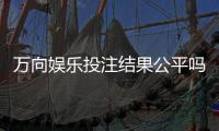 万向娱乐投注结果公平吗？深度解析平台公正性与玩家实测反馈