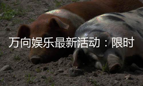 万向娱乐最新活动：限时豪礼大放送新老玩家同享