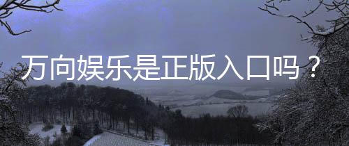 万向娱乐是正版入口吗？揭秘平台资质与安全玩法指南