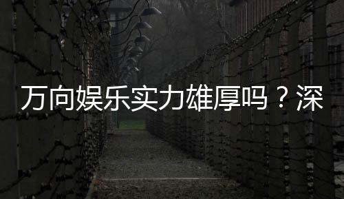 万向娱乐实力雄厚吗？深度解析其平台优势与玩家真实体验
