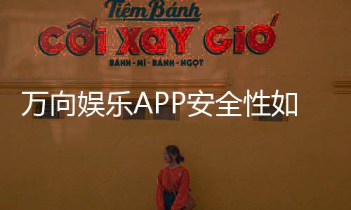 万向娱乐APP安全性如何?深度解析其资金保障与数据防护措施