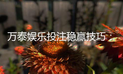 万泰娱乐投注稳赢技巧：掌握这三招轻松提升胜率