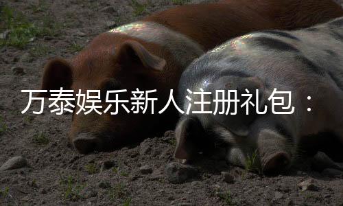 万泰娱乐新人注册礼包：首存豪礼加码新手专享福利大放送