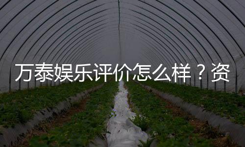 万泰娱乐评价怎么样？资深玩家真实体验分享