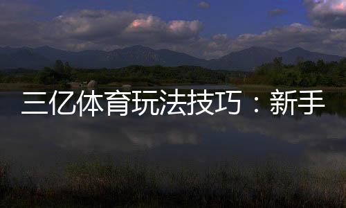 三亿体育玩法技巧：新手必看实战攻略与投注技巧全解析