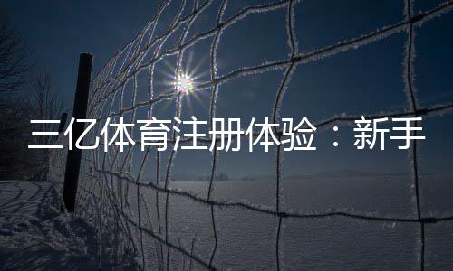 三亿体育注册体验：新手注册步骤、验证流程与安全注意事项全面解析