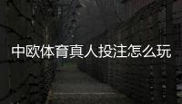 中欧体育真人投注怎么玩？新手入门、玩法解析与实战技巧全指南