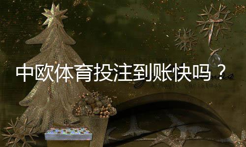 中欧体育投注到账快吗？提现速度、到账流程与常见问题全解析