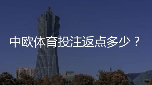 中欧体育投注返点多少？最新返点比例、计算方法与提高收益技巧