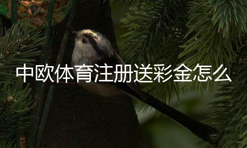 中欧体育注册送彩金怎么领？新手领取步骤、使用规则与注意事项