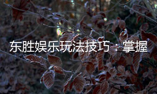 东胜娱乐玩法技巧：掌握这些技巧轻松提升胜率