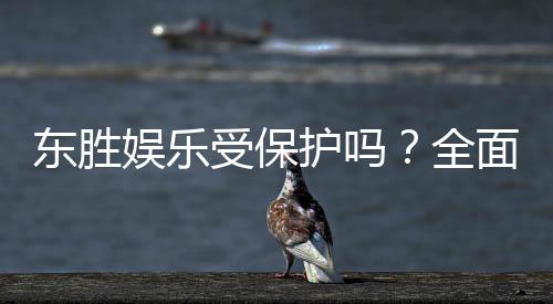 东胜娱乐受保护吗？全面解析其安全性与玩家保障措施