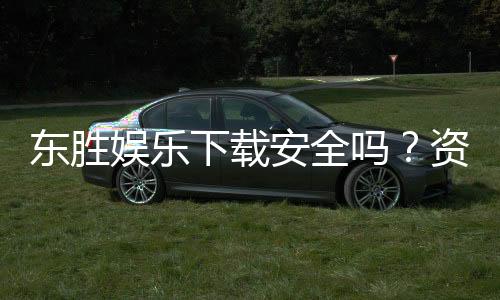 东胜娱乐下载安全吗？资深玩家实测安全性与下载攻略