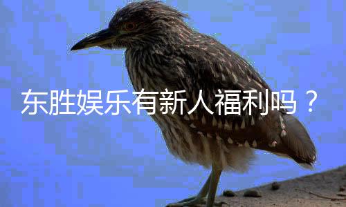东胜娱乐有新人福利吗?独家揭秘首存优惠与新手礼包详情