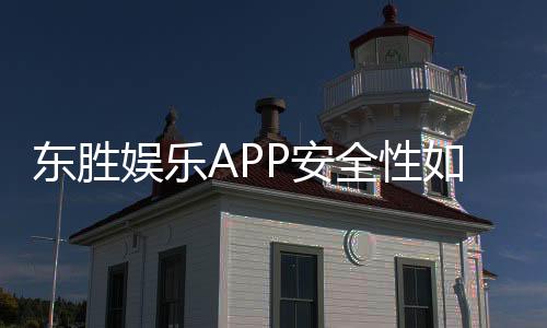 东胜娱乐APP安全性如何？深度解析其资金保障与数据防护机制