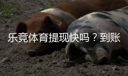 乐竞体育提现快吗？到账速度、手续费与常见问题全面解析