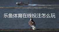 乐鱼体育在线投注怎么玩？新手入门、玩法规则与风险防范全攻略
