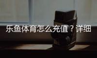 乐鱼体育怎么充值？详细步骤、支付方式与常见问题一次看懂