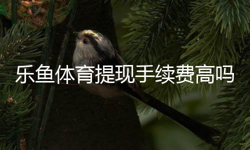 乐鱼体育提现手续费高吗？一文看懂收费标准、原因与省钱技巧