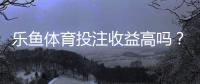 乐鱼体育投注收益高吗？真实收益解析、风险评估与新手避坑指南