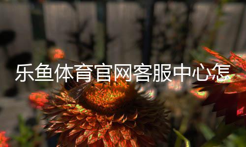 乐鱼体育官网客服中心怎么联系？在线客服、电话与常见问题快速解决指南