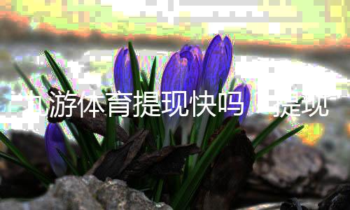 九游体育提现快吗？提现到账时间、流程与常见问题全面解析