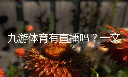 九游体育有直播吗？一文看懂直播入口、观看方式与常见问题