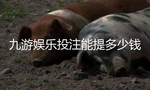 九游娱乐投注能提多少钱？提现上限、手续费与到账时间详解