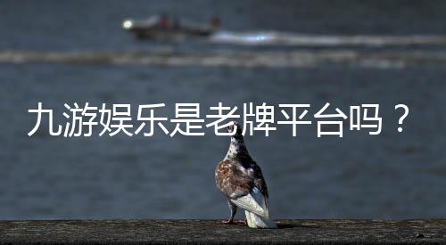 九游娱乐是老牌平台吗？2026权威评测、运营历史与用户口碑全解析