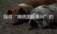 探寻“锦绣国际黑网”的魅力与神秘