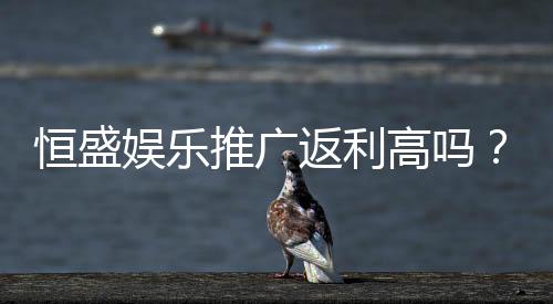恒盛娱乐推广返利高吗？资深玩家揭秘真实返利比例与优惠活动