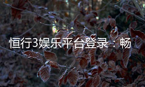 恒行3娱乐平台登录：畅享顶级棋牌与电子游艺的完美体验