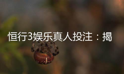 恒行3娱乐真人投注：揭秘高胜率玩家的实战技巧与策略