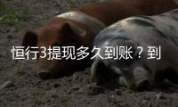 恒行3提现多久到账？到账时间及流程详解