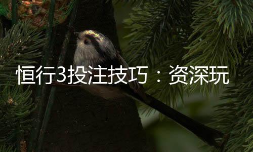 恒行3投注技巧:资深玩家分享实战稳赢策略