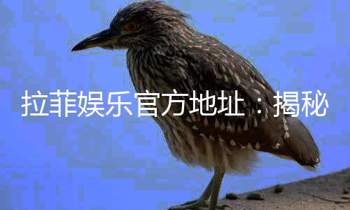 拉菲娱乐官方地址：揭秘官网入口与安全投注指南