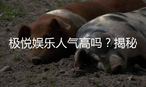 极悦娱乐人气高吗？揭秘平台火爆背后的真实原因