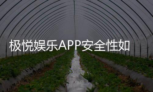 极悦娱乐APP安全性如何？深度解析其资金保障与数据防护措施