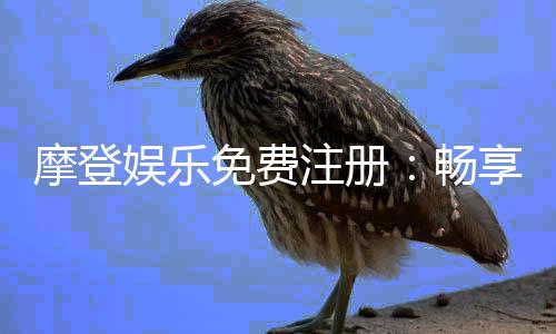 摩登娱乐免费注册：畅享豪华礼包与顶级电游体验