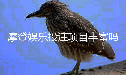 摩登娱乐投注项目丰富吗？揭秘平台热门游戏与特色玩法