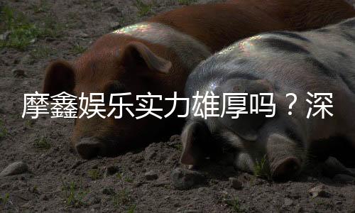 摩鑫娱乐实力雄厚吗？深度解析其平台优势与玩家真实体验