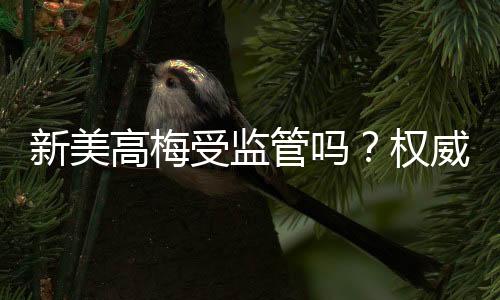 新美高梅受监管吗？权威解析其合规性与玩家保障措施