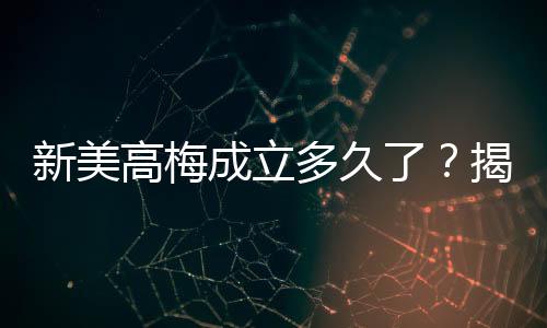 新美高梅成立多久了？揭秘这家娱乐巨头的辉煌发展史