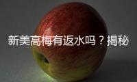 新美高梅有返水吗？揭秘返水优惠与独家福利